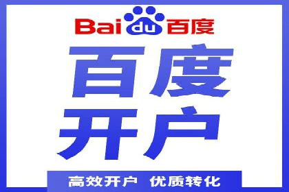 专业SEM代运营公司案例分析